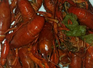 Mudbugs (Craw fish)